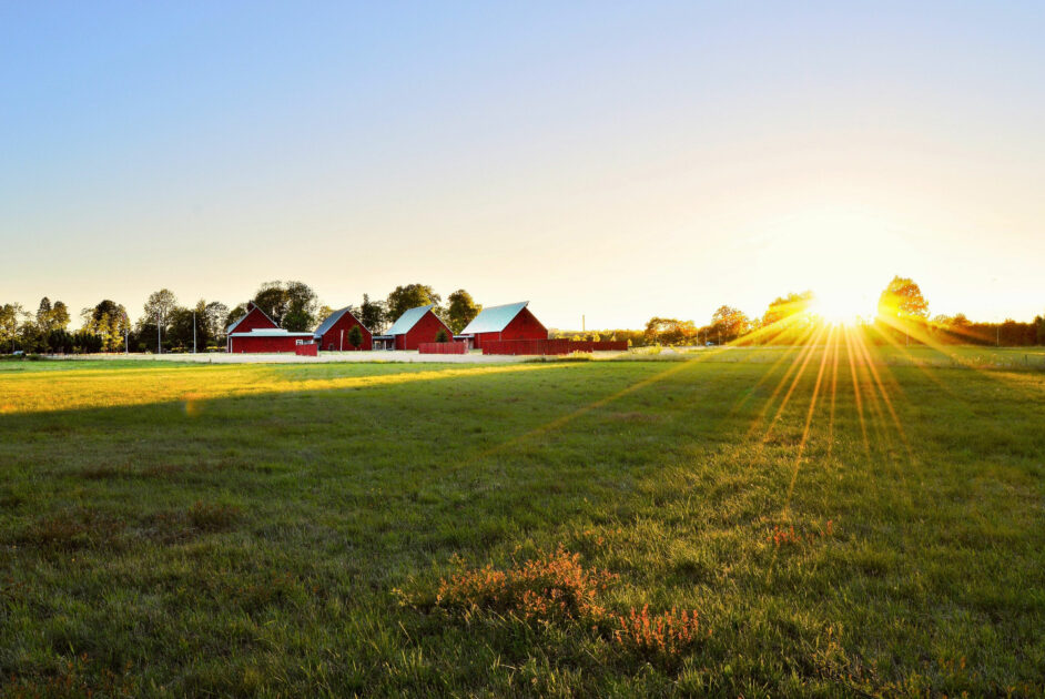 Farm Accounting